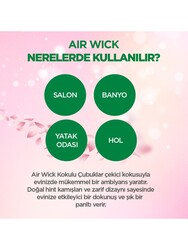 Airwick Oda Kokusu Bambu Çubuklu Pembe Çiçek Bahçesi 25ml - Thumbnail