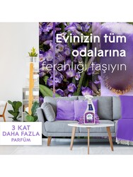 Glade Multi Sprey Lavanta Ferahlığı 500ml - Thumbnail