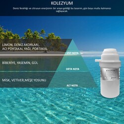 Rulopak M7 377 Kolezyum Koku Kartuşu 200 ml 200709 - Thumbnail