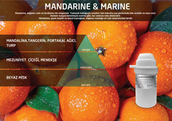 Rulopak Nanoplus M7 Mandarine Marine Koku Kartuşu 200 ml 200737 - Thumbnail